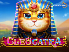 Cool cat casino mobile. Şive ağız lehçe.17